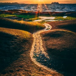 Gabriola Sunburst Hi Res   